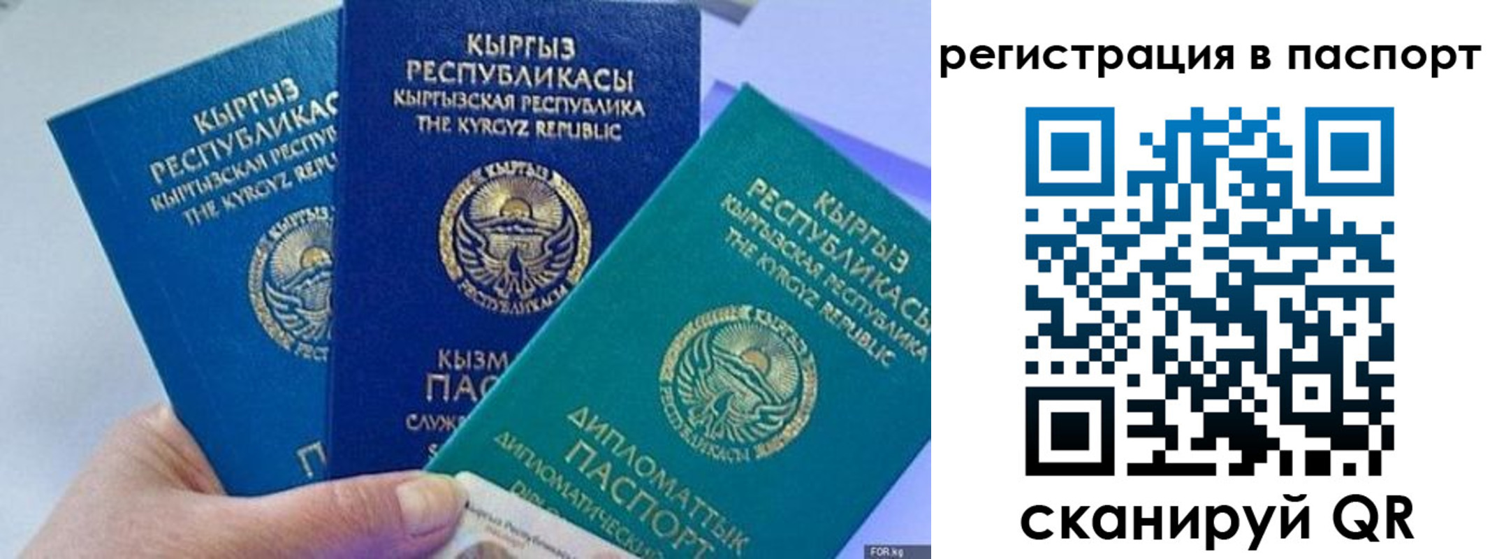 прописка 2025 в Валуйках